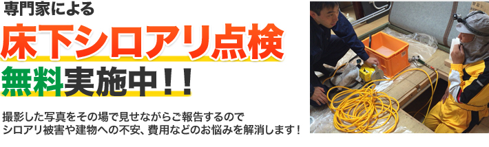 専門家による床下シロアリ点検 無料実施中！！