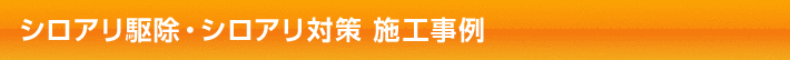 シロアリ駆除・シロアリ対策 施工事例